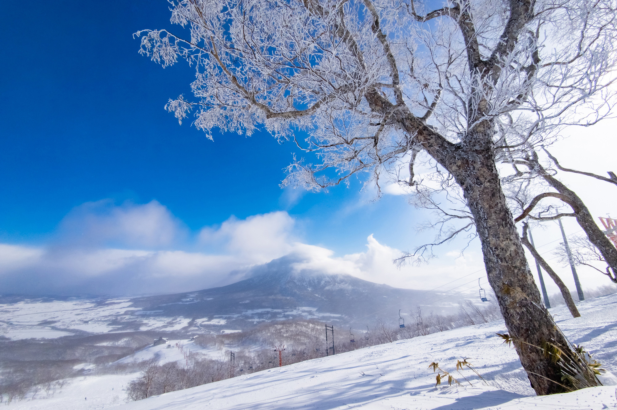 3-6. 将美丽的银白世界留给未来：展现对自然敬意的垃圾处理礼仪