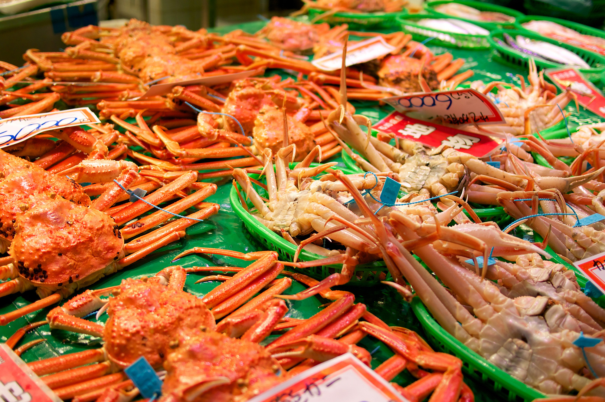 4-2. 冬季美味之王：尽享加能蟹与寒鰤鱼