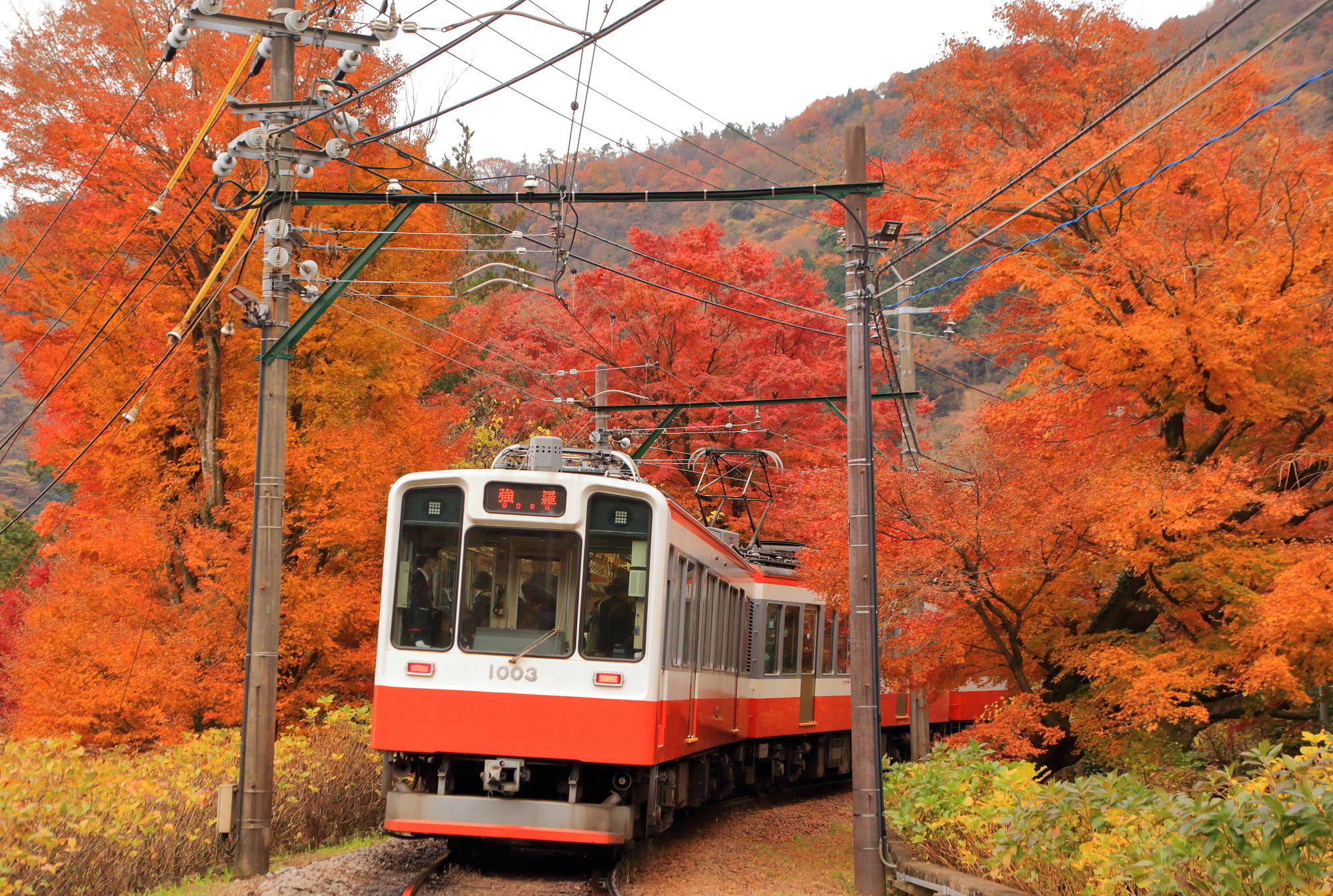 2-2. 箱根内的交通工具：乘坐本身也是一种乐趣