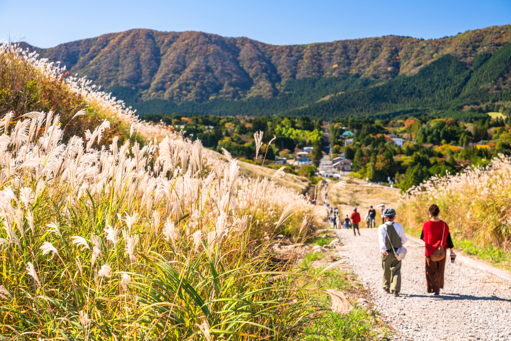 强罗・仙石原区域: 静享壮丽自然与艺术