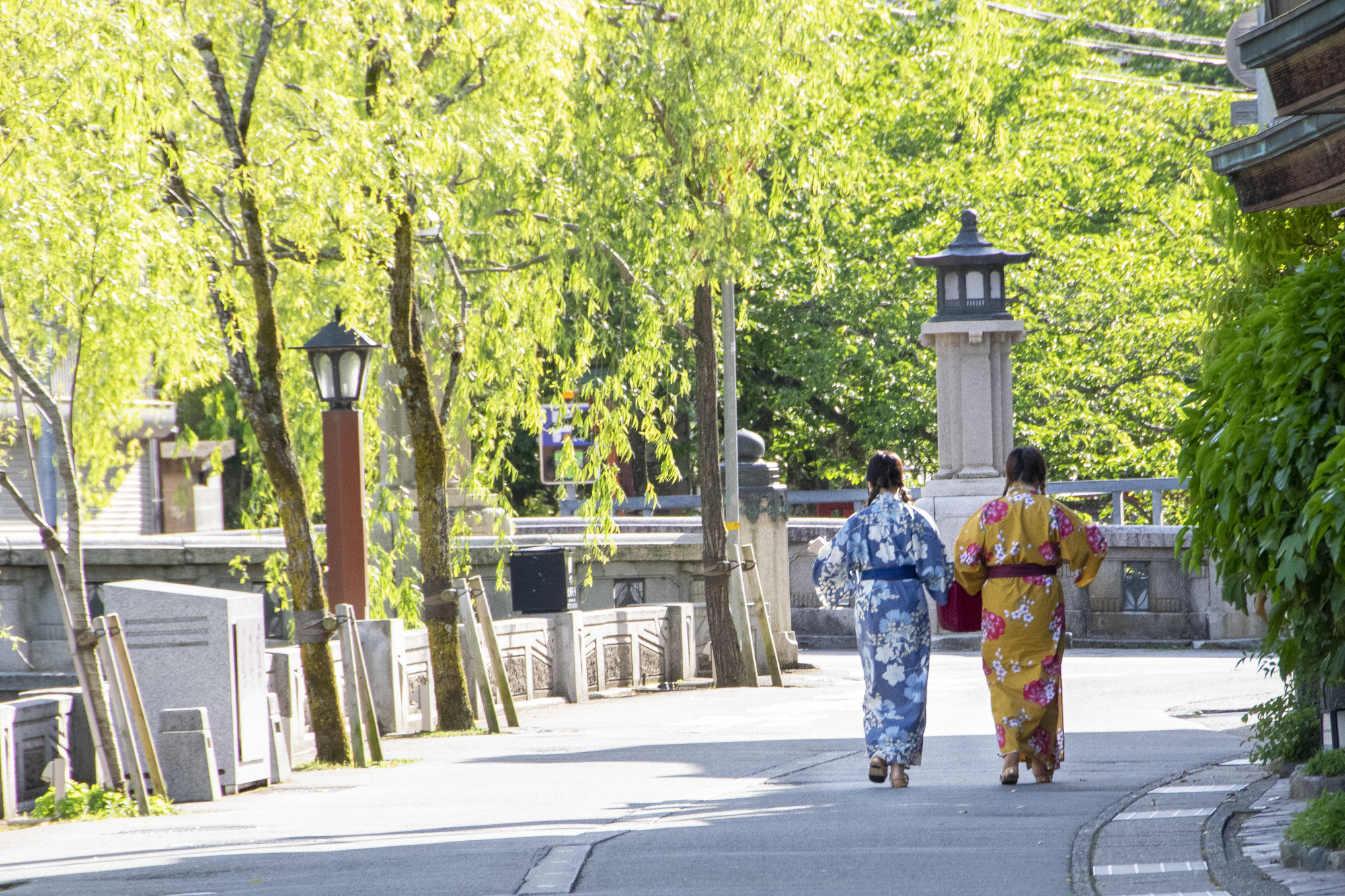 城崎温泉的柳树街道与身穿浴衣的人们