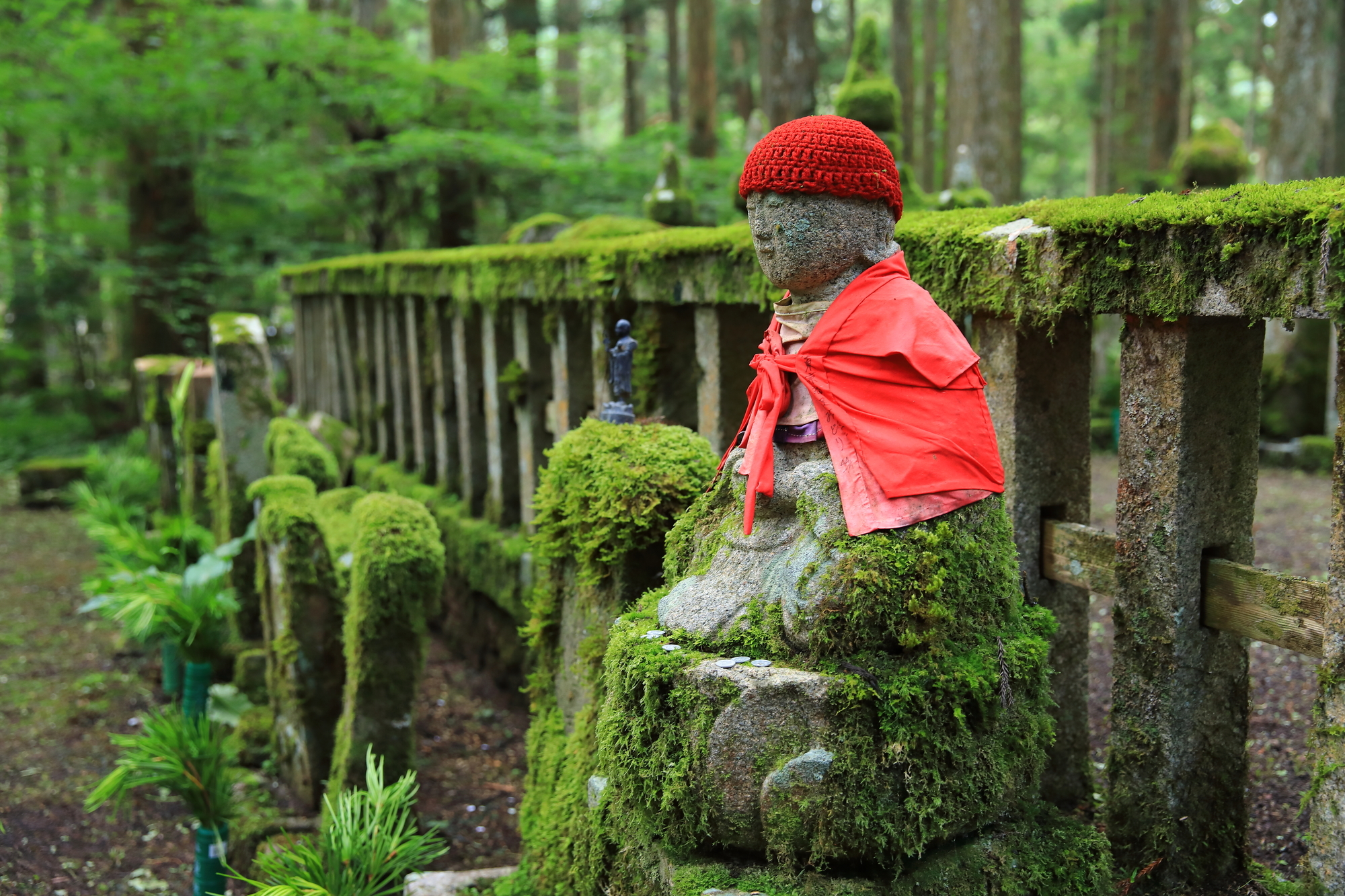 3-1. 奥之院区域：在最神圣场所的举止