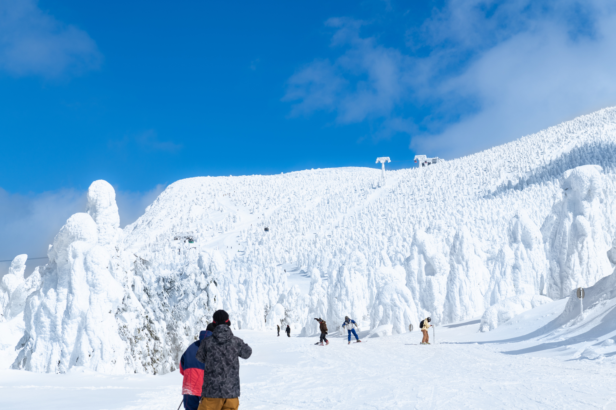山形藏王的树冰（雪怪）
