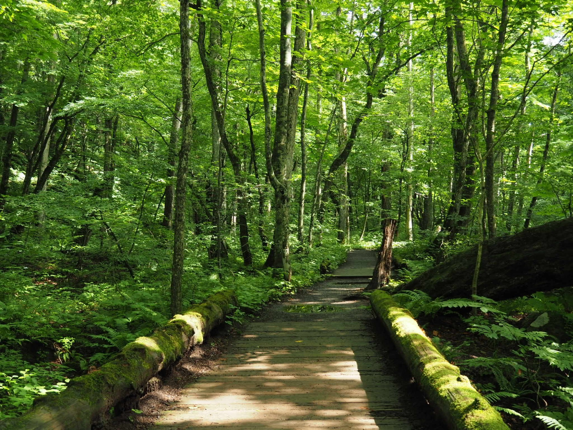 3-1. 步道是与自然的结界：一步也不偏离的绝对约定