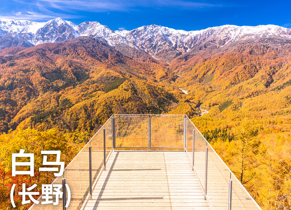 白马（长野）